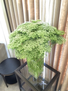 Queen Anne's Lace installation for Burberry